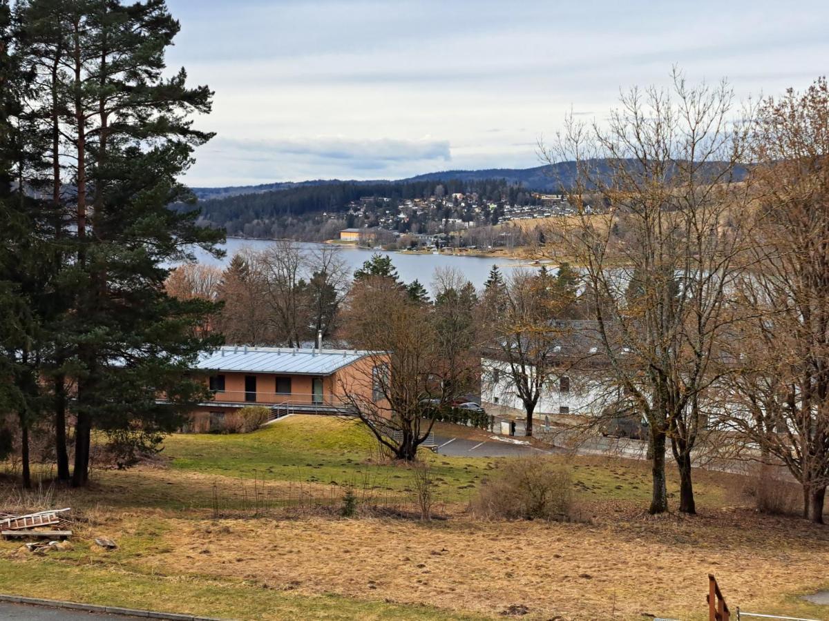 Apartman Max Lipno Lipno nad Vltavou Esterno foto